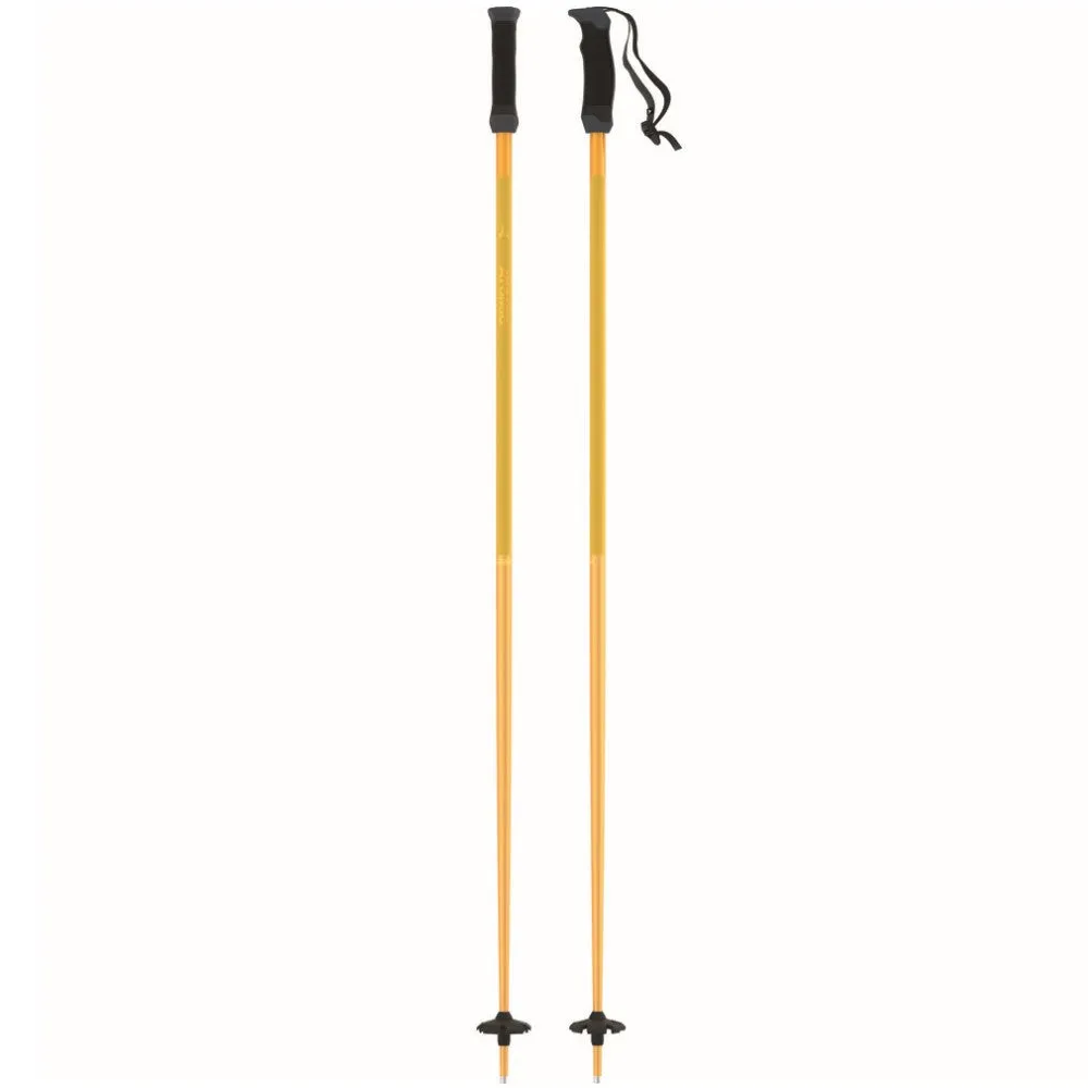 Amt Sqs Ski Poles