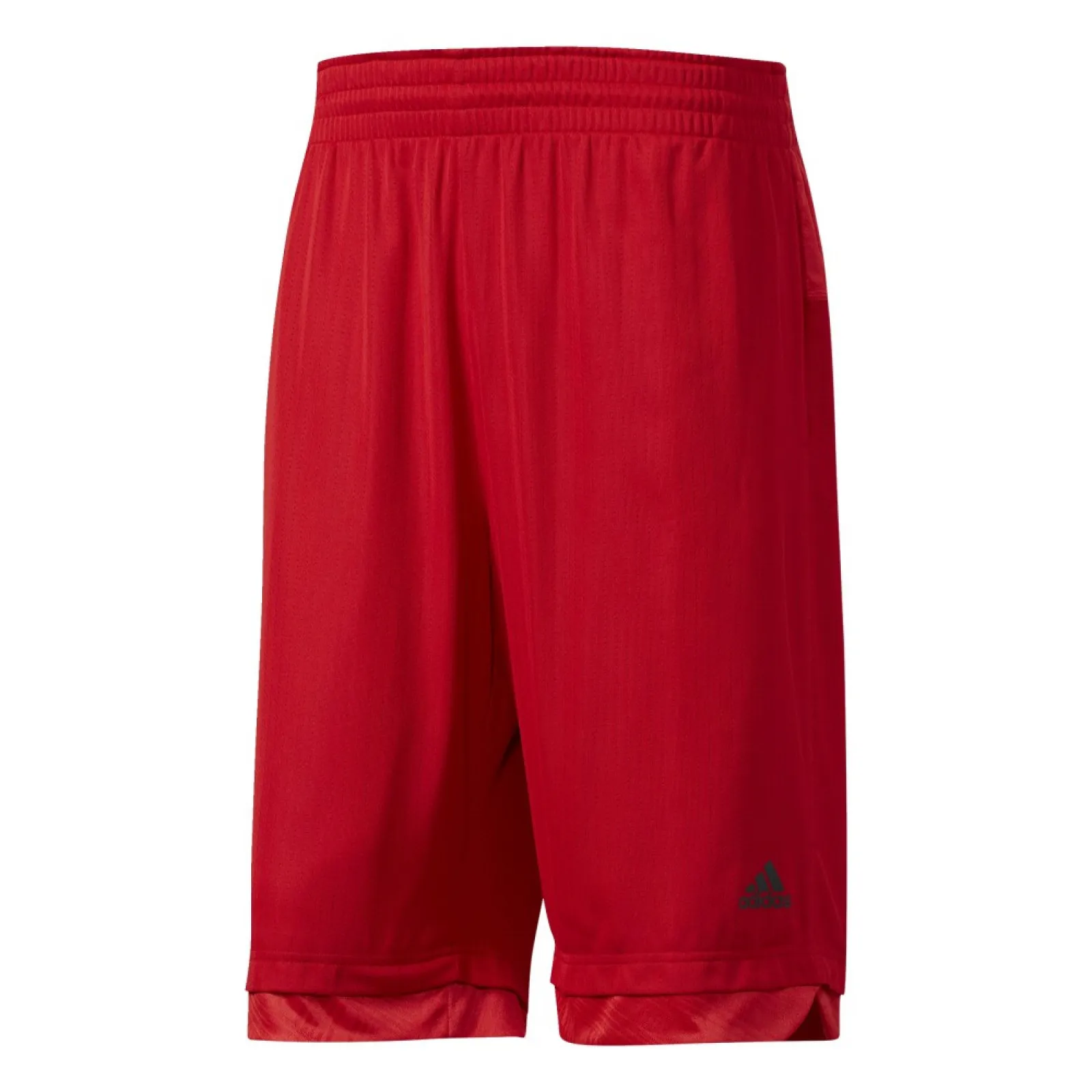 Dame Icon Shorts