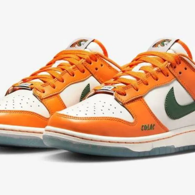 Florida a&m x nike dunk low