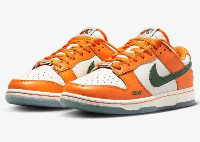 Florida a&m x nike dunk low