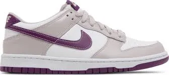 Nike Dunk Low (GS) FB9109 104