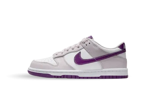 Nike Dunk Low (GS) FB9109 104