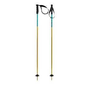 Phantastick Ski Poles - Youth