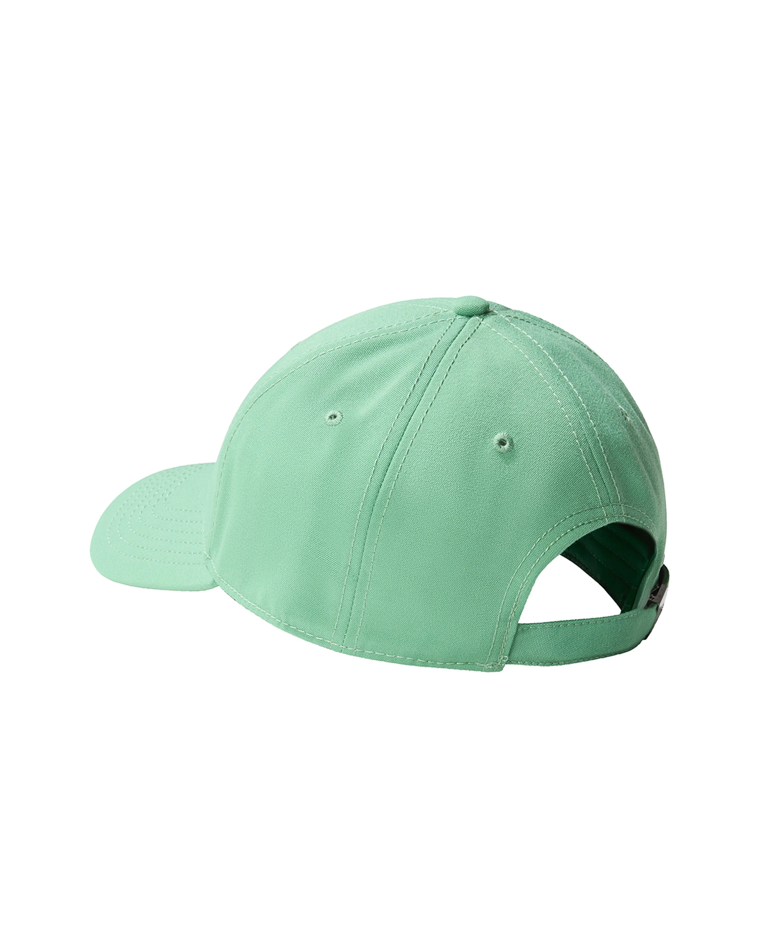 The North Face Recycled 66 Classic Hat