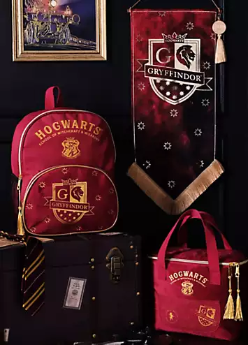 Warner Bros Harry Potter Alumni Backpack Gryffindor | Grattan